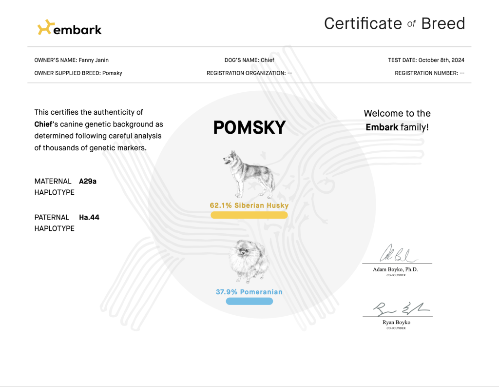 certificat embark chief pomsky