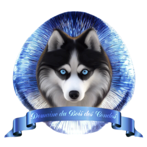 Pomsky