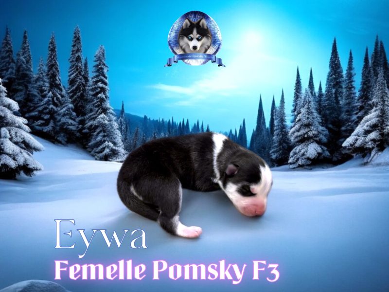eywa F3