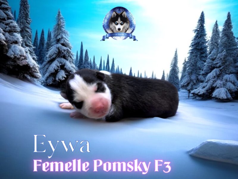 eywa