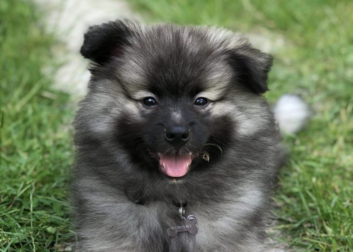 olympe