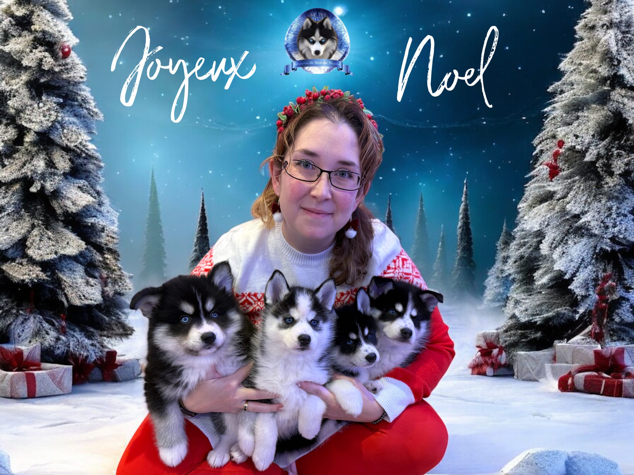6 semaines pomsky