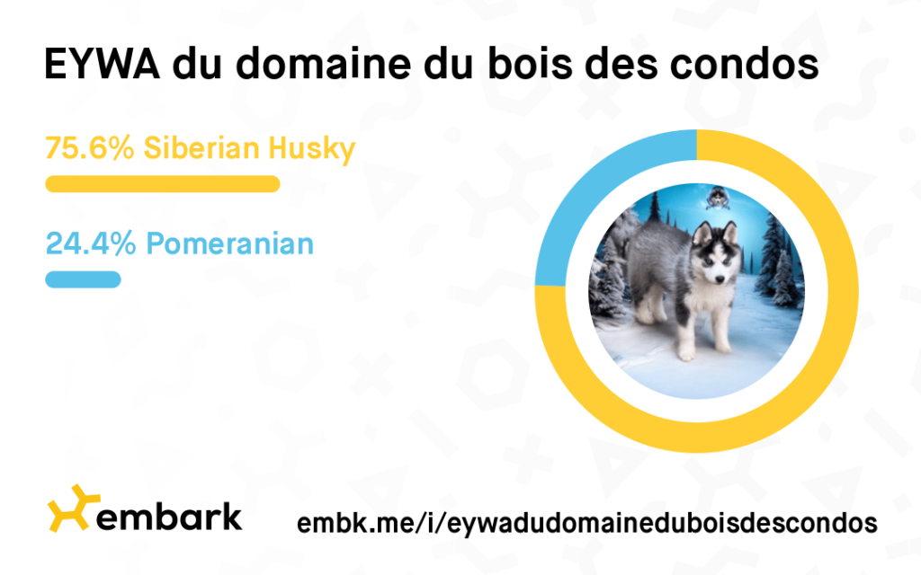 embark pomsky eywa